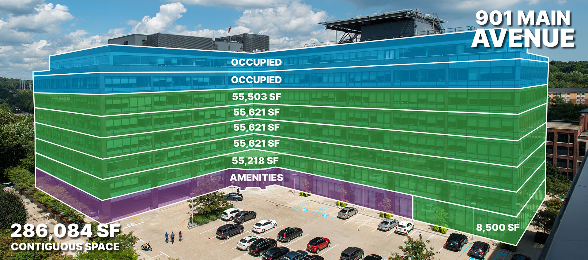 901 Main Avenue Availability 901 Main Avenue Availability by Floor