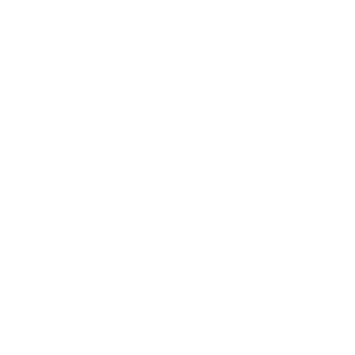 Anthem-Icon-space-2aw